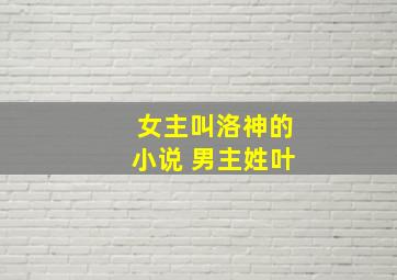 女主叫洛神的小说 男主姓叶